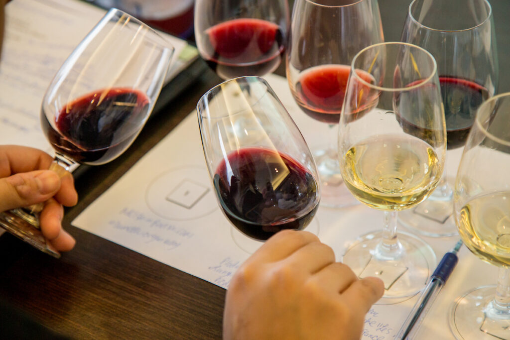 Hands hold wine glasses filled with red and white wine during a tasting session.
