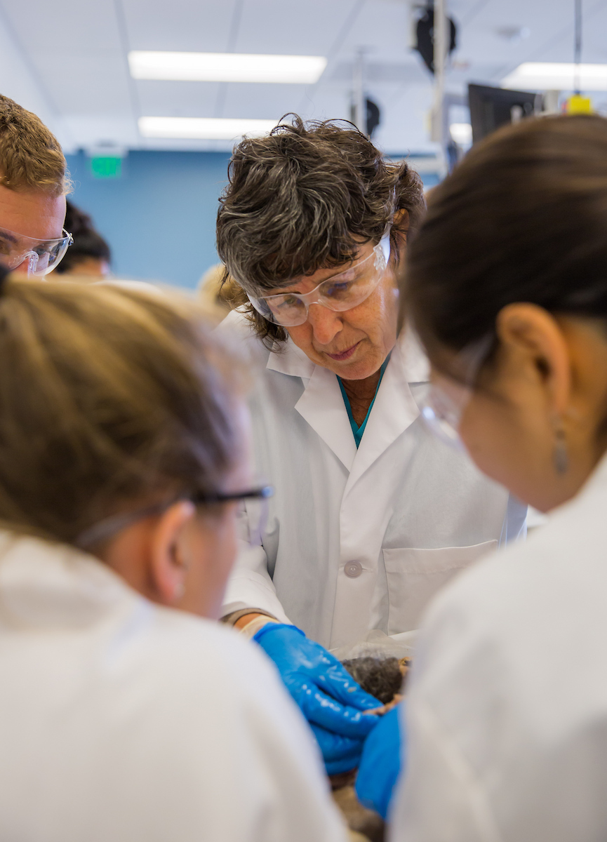A scientist in a lab coat and gloves demonstrates a procedure to a group of students wearing safety goggles in a laboratory setting.