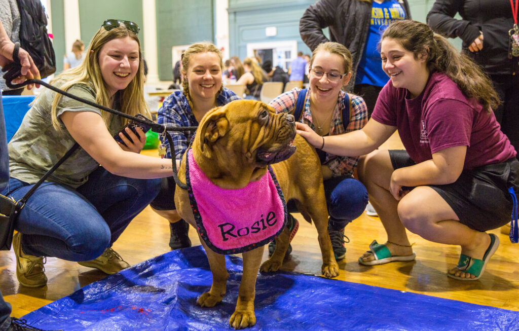 A large dog wearing a pink bib named "Rosie" is surrounded by smiling people in a gymnasium, with some crouching close to pet and others standing nearby.