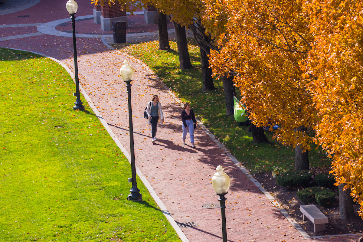 Fall scen of Gaebe Commons with students walking