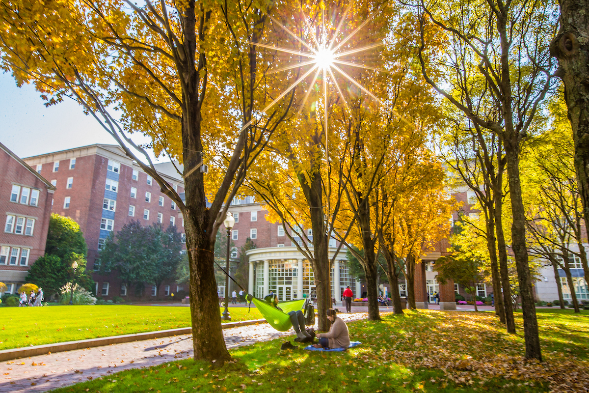 Gaebe Commons in the fall. Photos: Mike Cohea 2018