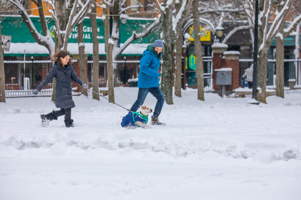Two people walk a dog through a snowy urban park, with snow-covered trees and buildings in the background.