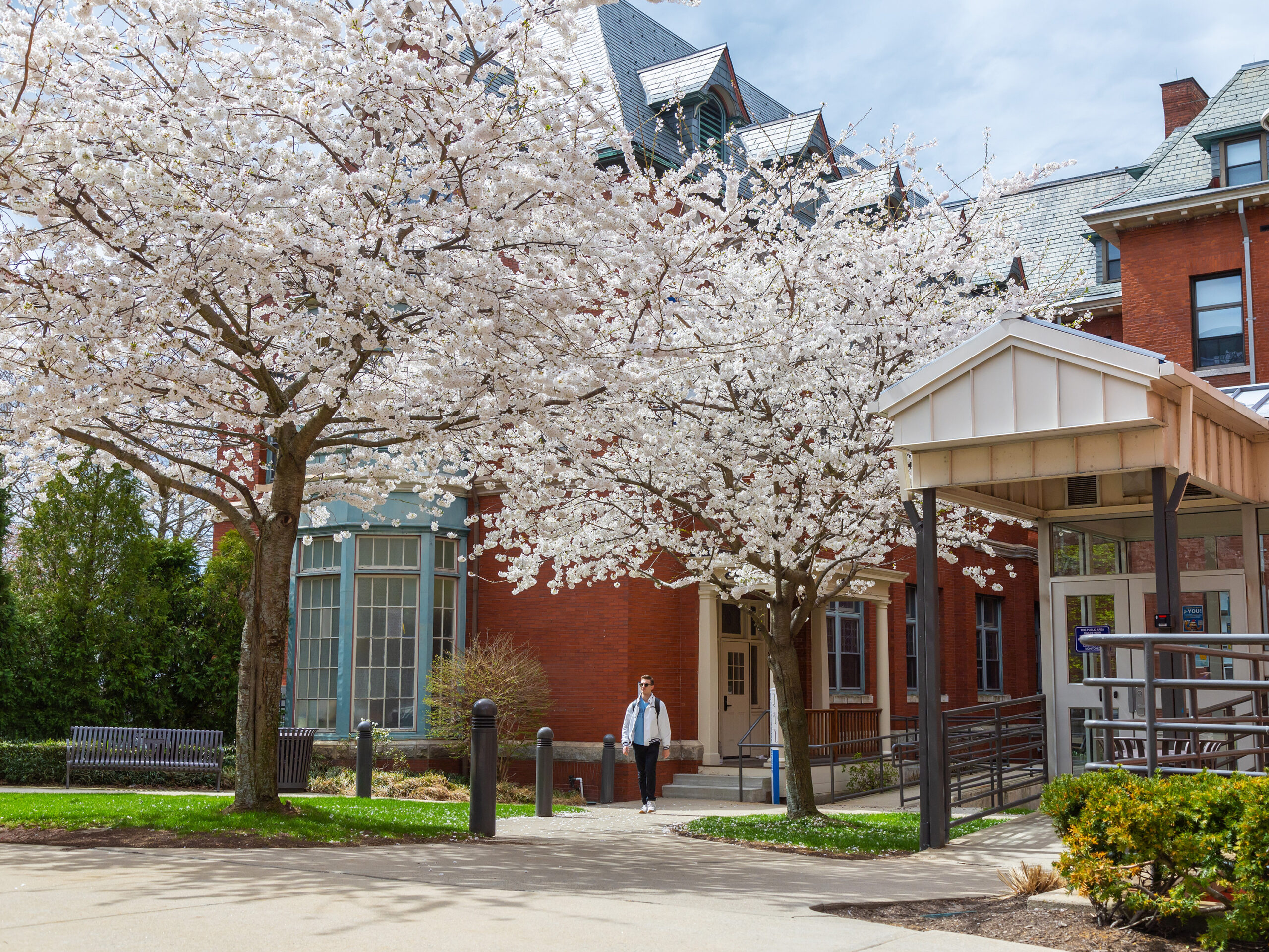 Person walking past blooming trees outside a red brick building with large windows and an entrance ramp.