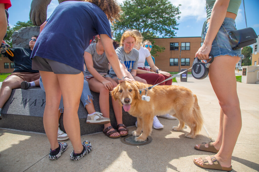 A golden retriever with a leash stands on a paved area as several people gather around, some seated on a stone bench, in a sunny outdoor setting.
