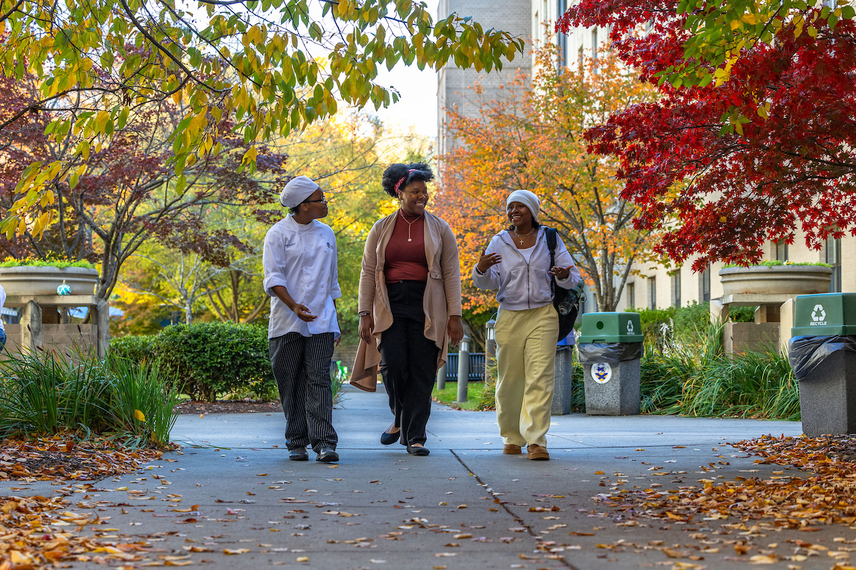 Three individuals walk along a paved path lined with autumn foliage, engaging in conversation as colorful leaves scatter across the ground.