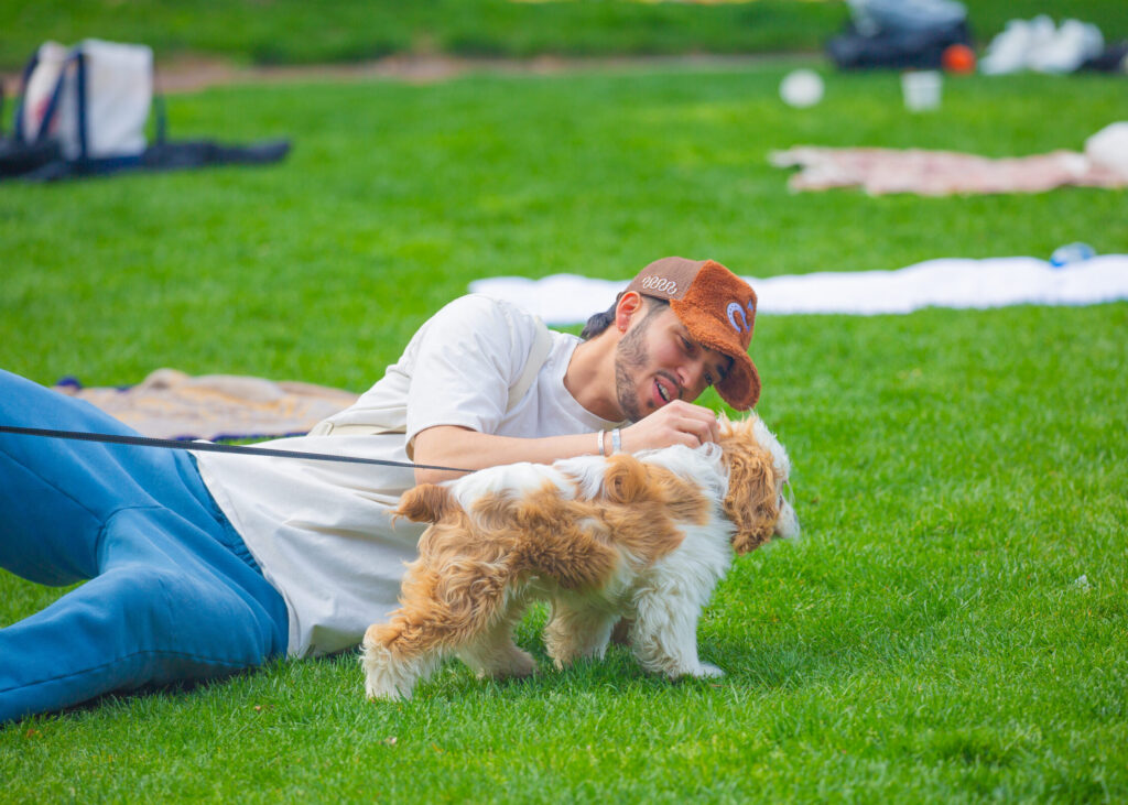 A person lies on grass, petting a small, fluffy brown and white dog.