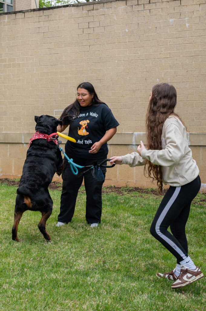 Two individuals interact with a black dog on a grassy area, one holding a yellow toy while the other holds the dog’s leash.