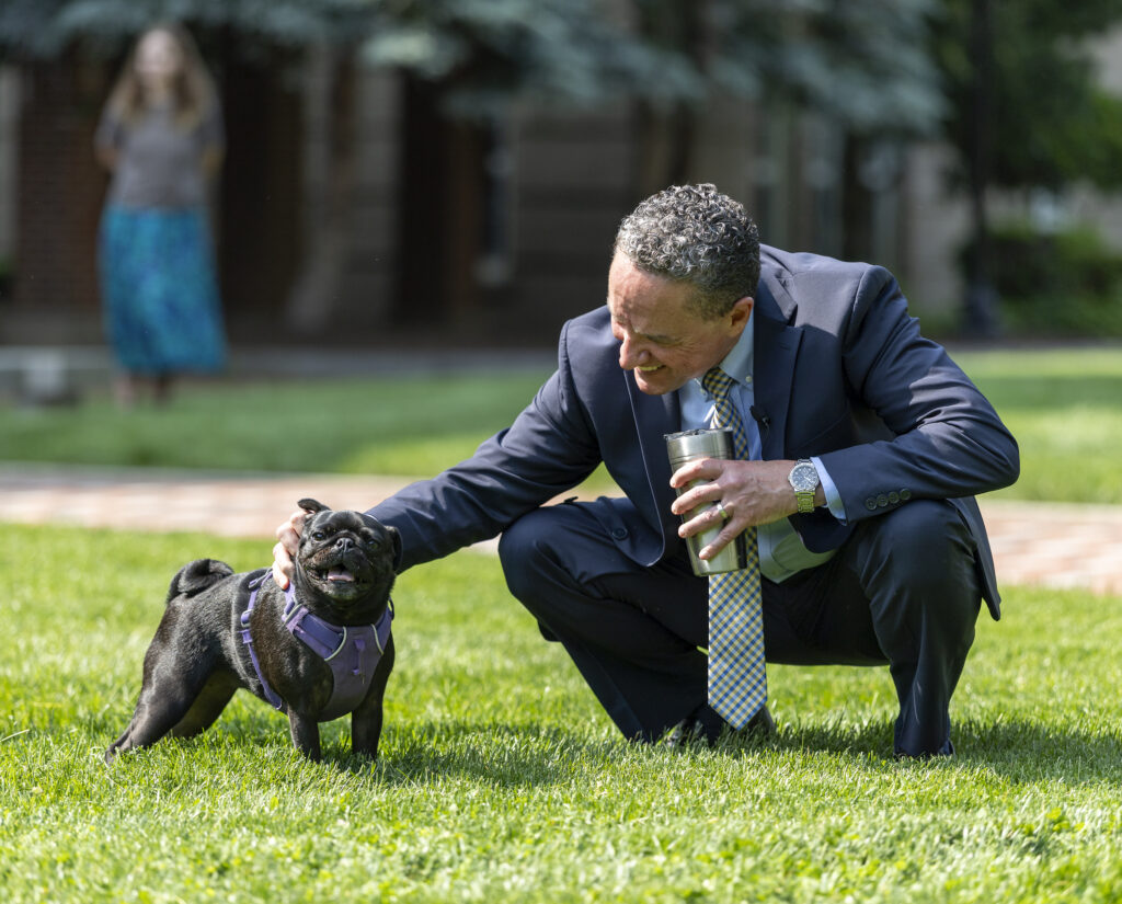 A person in a suit crouches on grass to pet a black pug wearing a purple harness, holding a metallic cup, while another person stands blurred in the background.