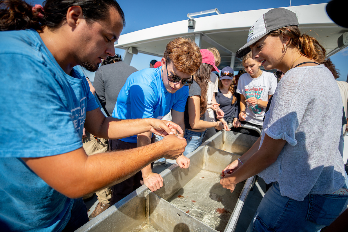 Sustainable Food students go out on a boat as part of the Save The Bay trip