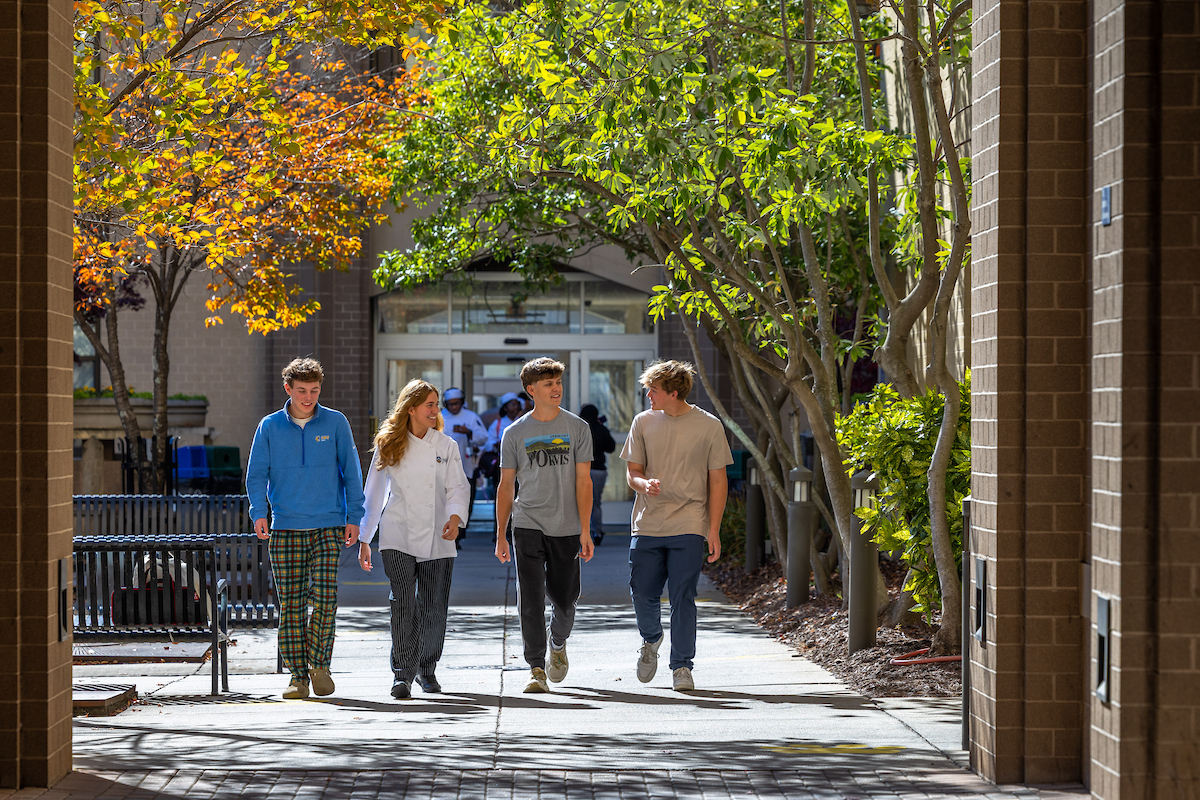 Four young people walk together along a sunlit pathway lined with trees and brick buildings.