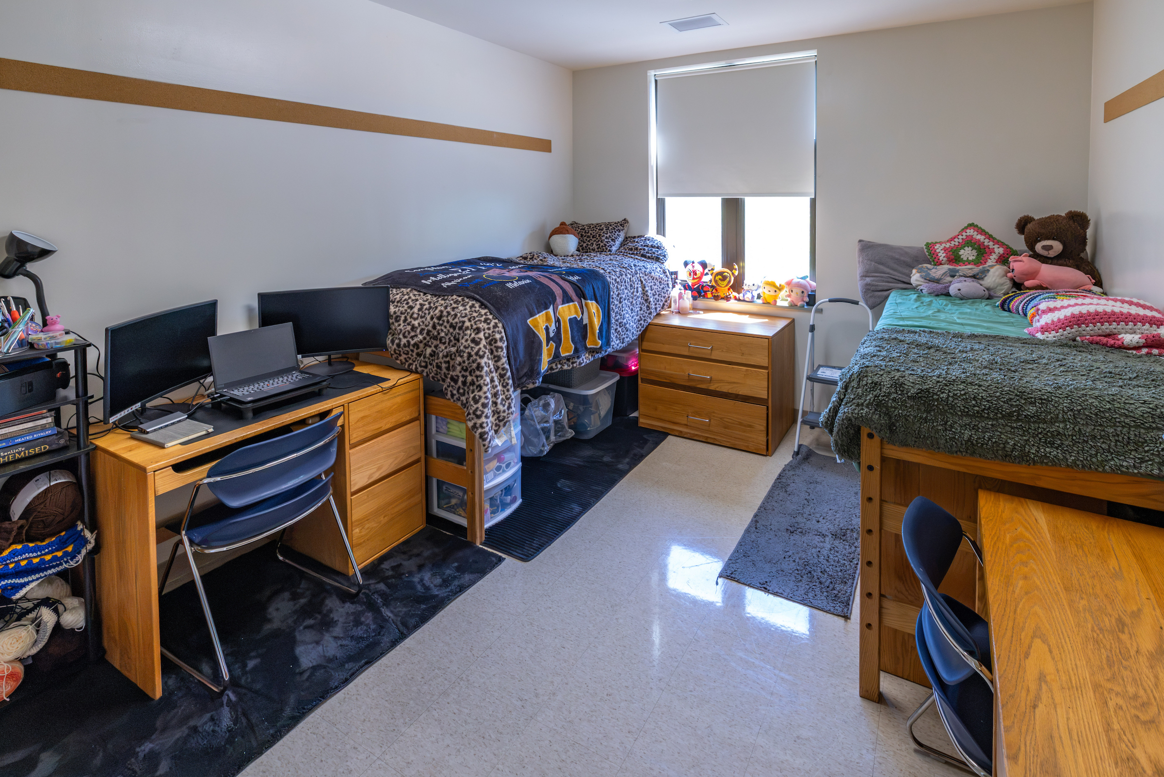 Inside a residence hall room, Cedar Hall, JWU Charlotte