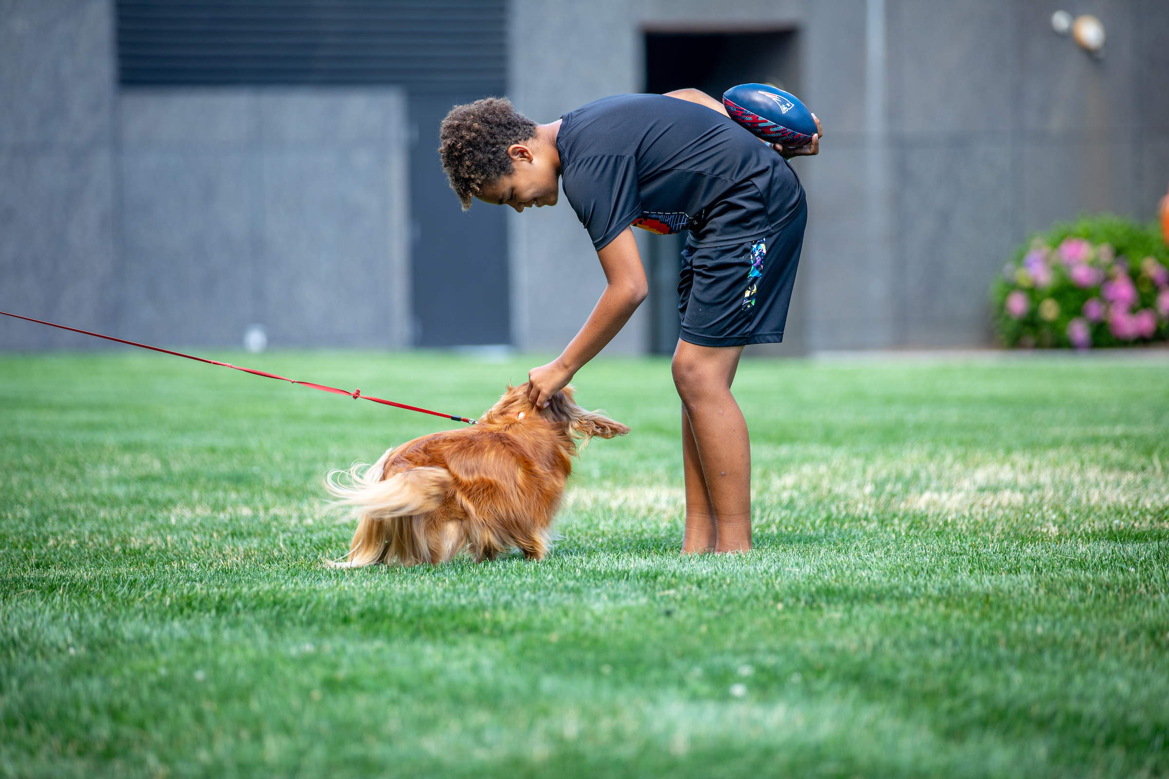 A person bends down to pet a small, fluffy dog on a grassy field while holding a football.