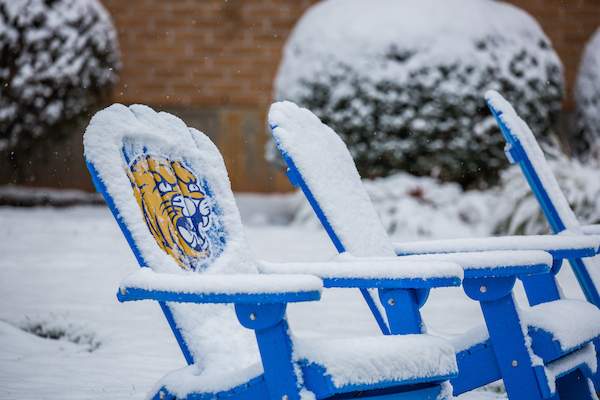 Blue Adirondack chairs covered in snow, one featuring a painted tiger mascot, sit outdoors during a snowy day.