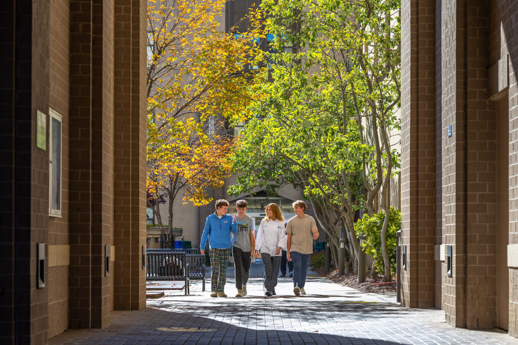 Four young people walk together along a sunlit pathway framed by brick pillars and autumn-colored trees.