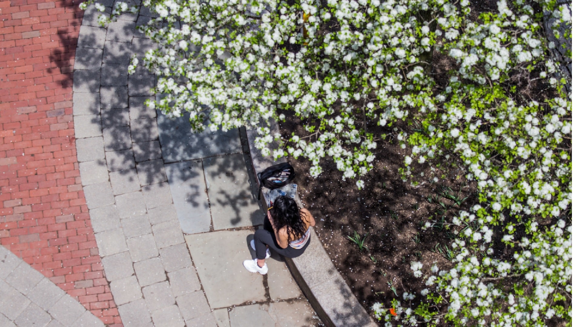 student outside studying