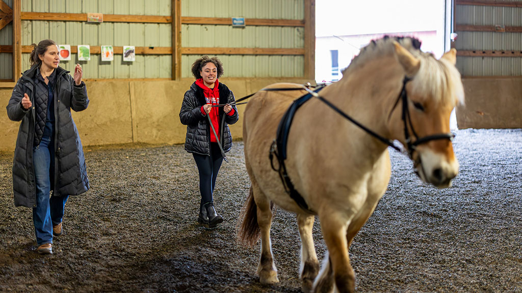 Student Leaha Bell guiding a horse with long reins