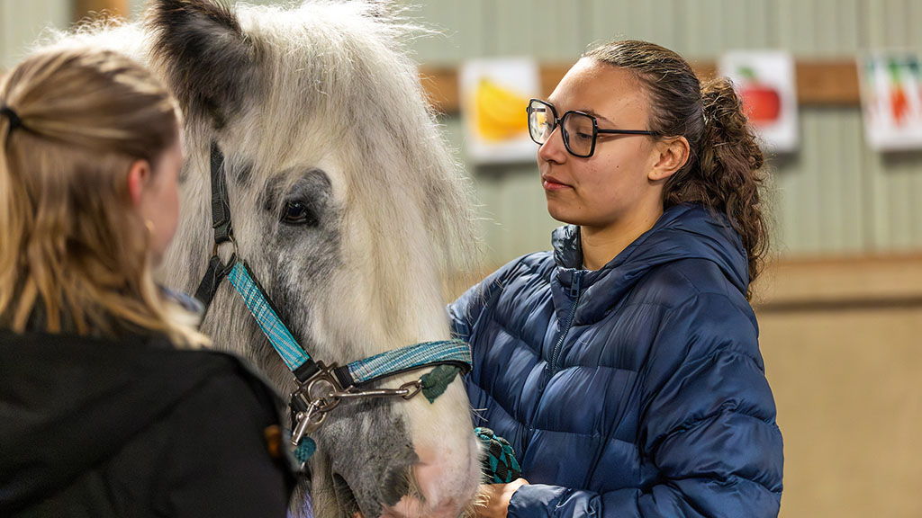 A woman looking at a horse