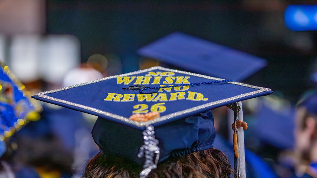 Grad cap decorated with no whisk no reward