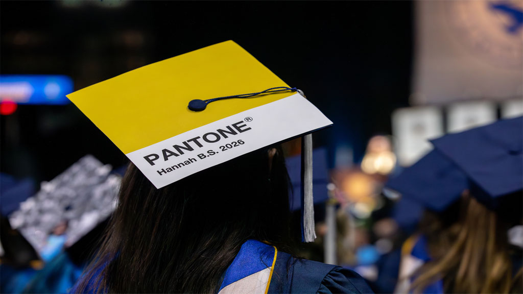 Pantone themed grad cap