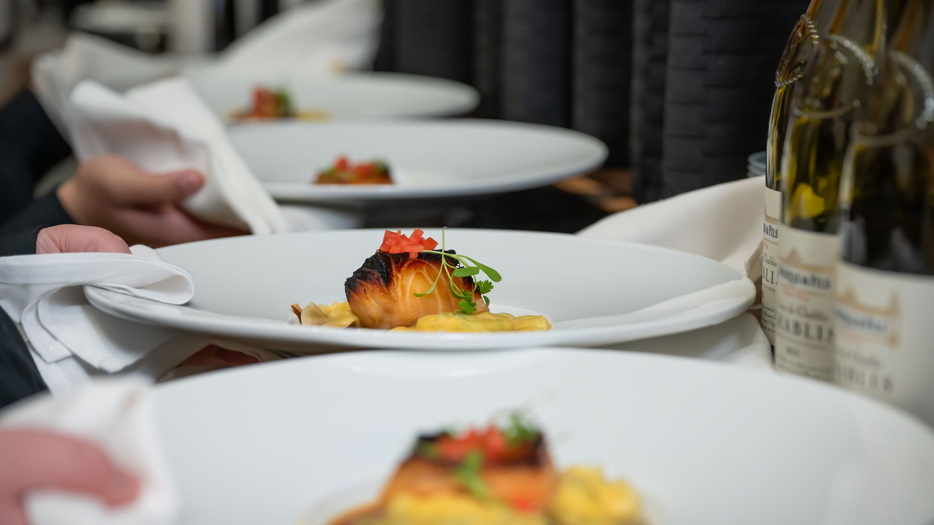 Serving plates in a row at a JWU event.
