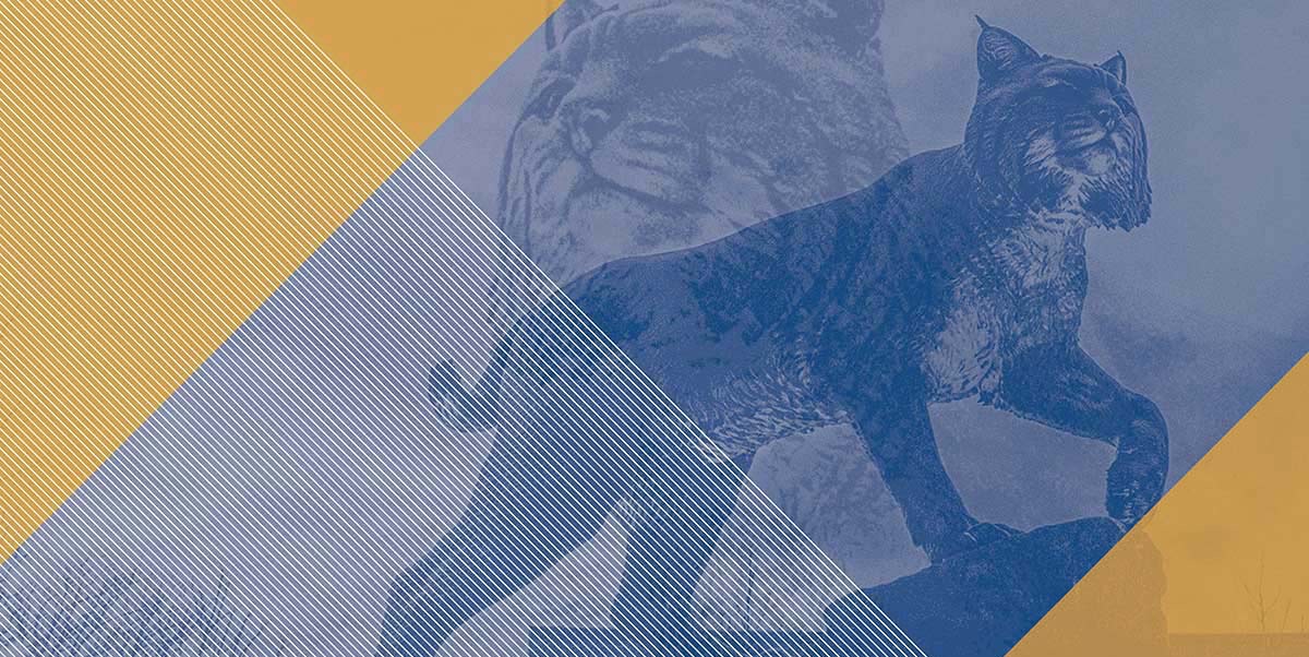 Graphic stylized duotone image of wildcat statue