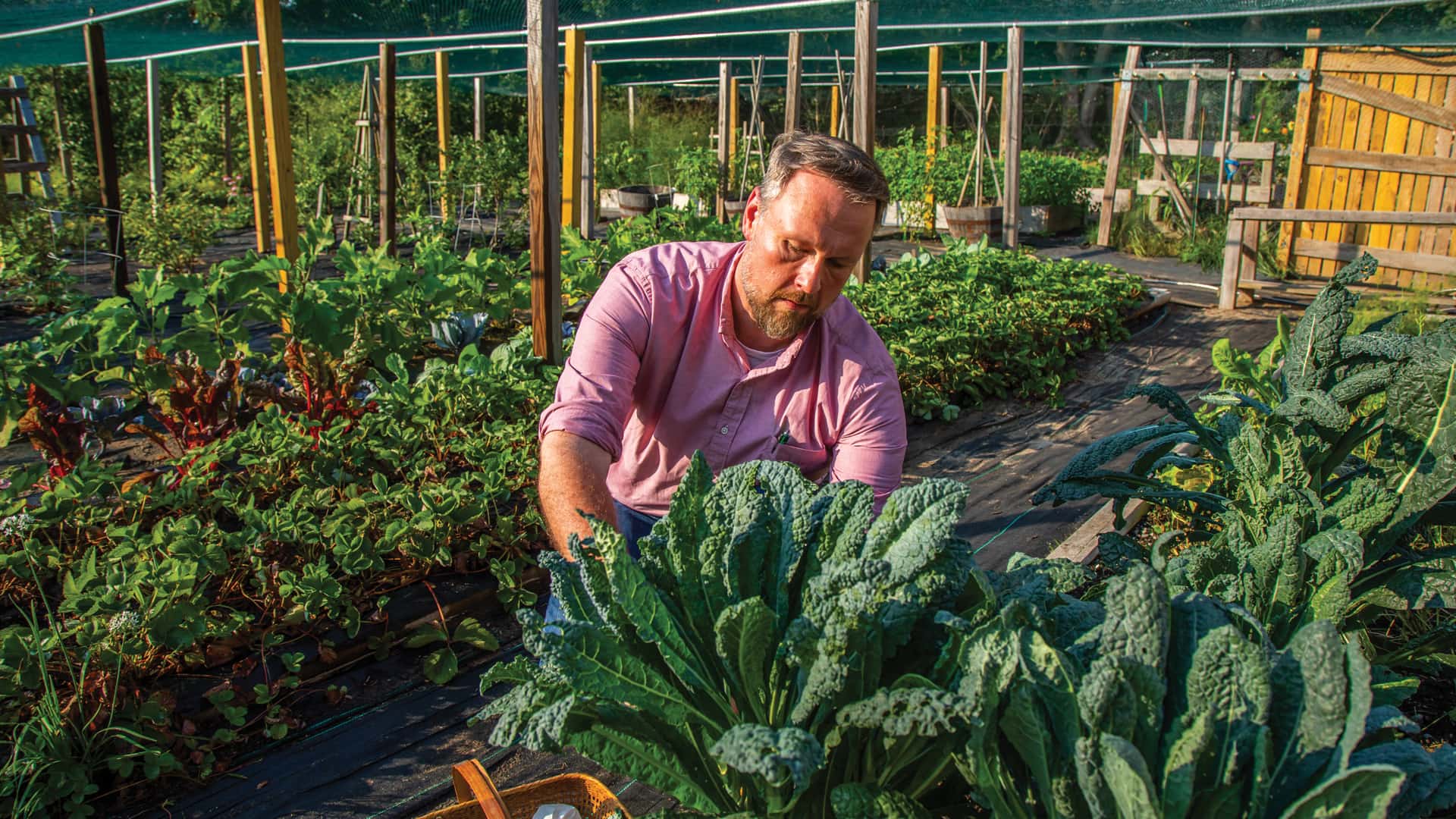 Dean Jason Evans at Gilded Tomato Farm.
